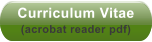 Curriculum Vitae  (acrobat reader pdf)