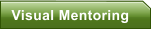 Visual Mentoring